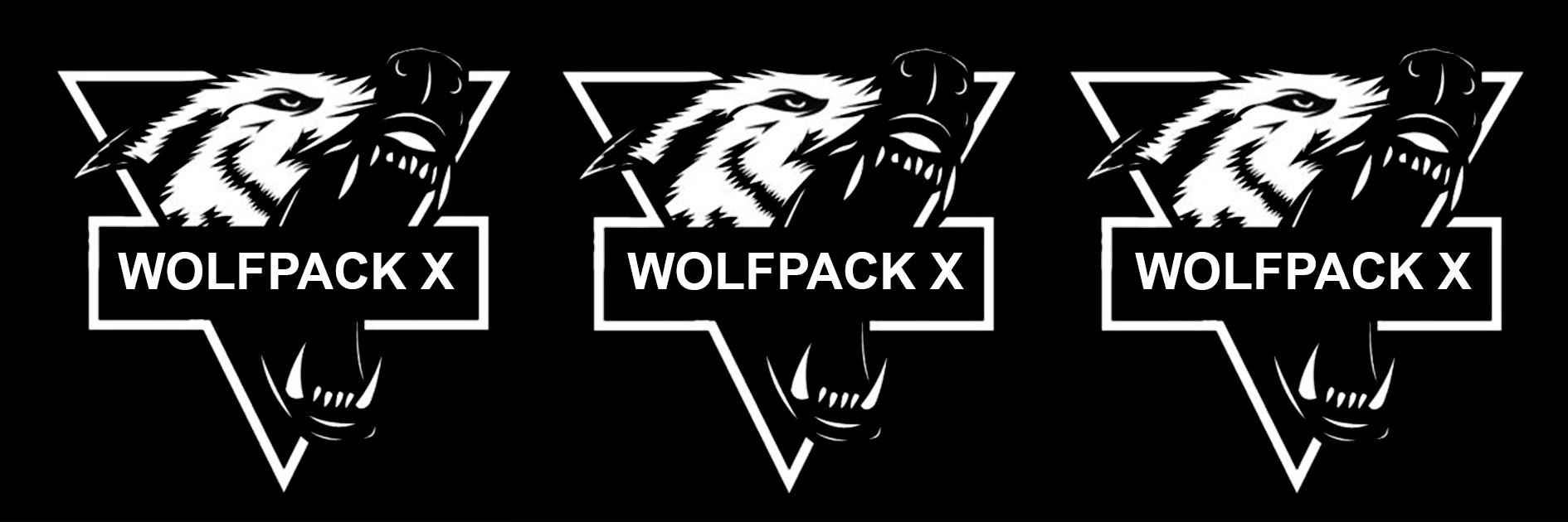 TheWolfPackSA's profile banner image