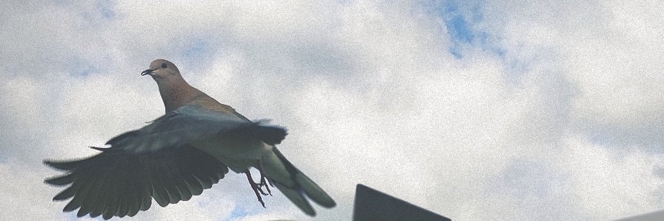davutuykun's profile banner image