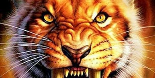 rodrigo061182's profile banner image