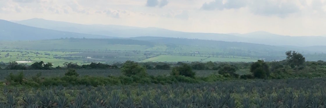 Kiloflash23's profile banner image