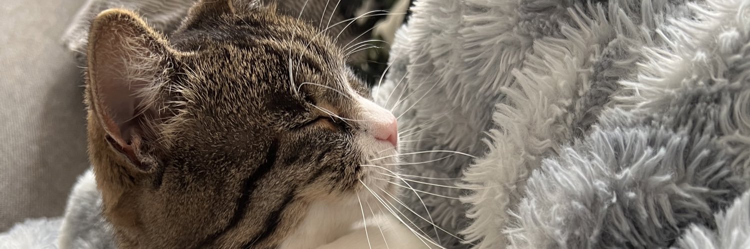 sophiasomething's profile banner image