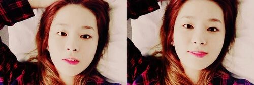seulgife's profile banner image