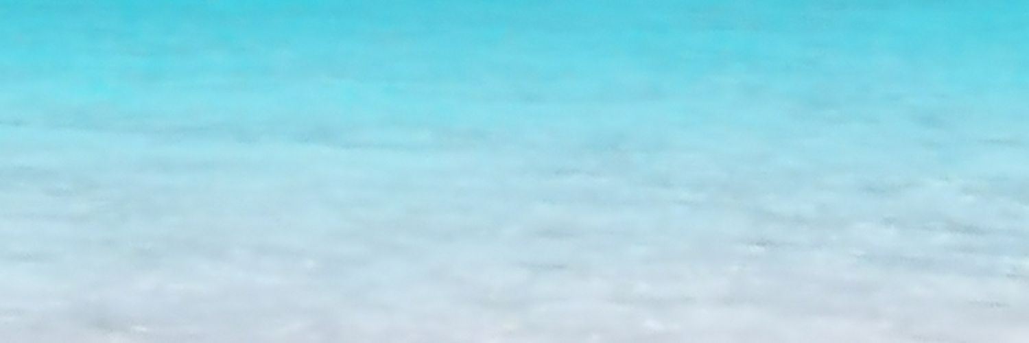 CasellaLily's profile banner image