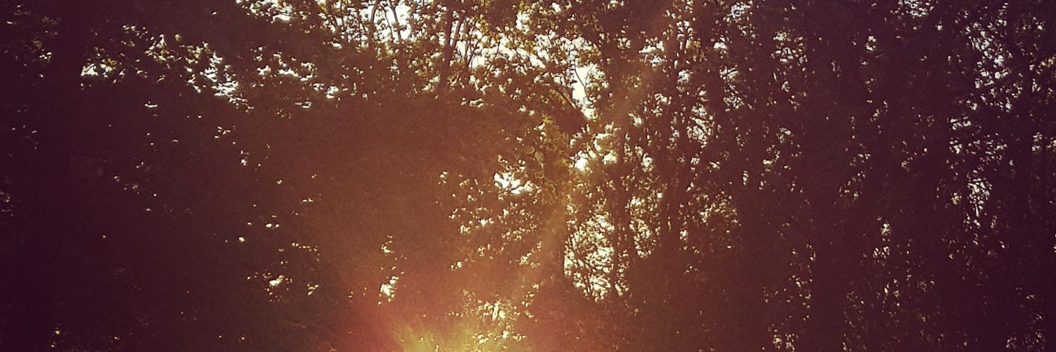 Frl__Wunderbar's profile banner image