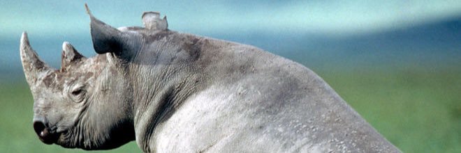 Ryknowsnothing's profile banner image
