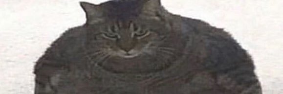 Blake_Ufiix's profile banner image
