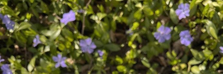 smilingmoan's profile banner image