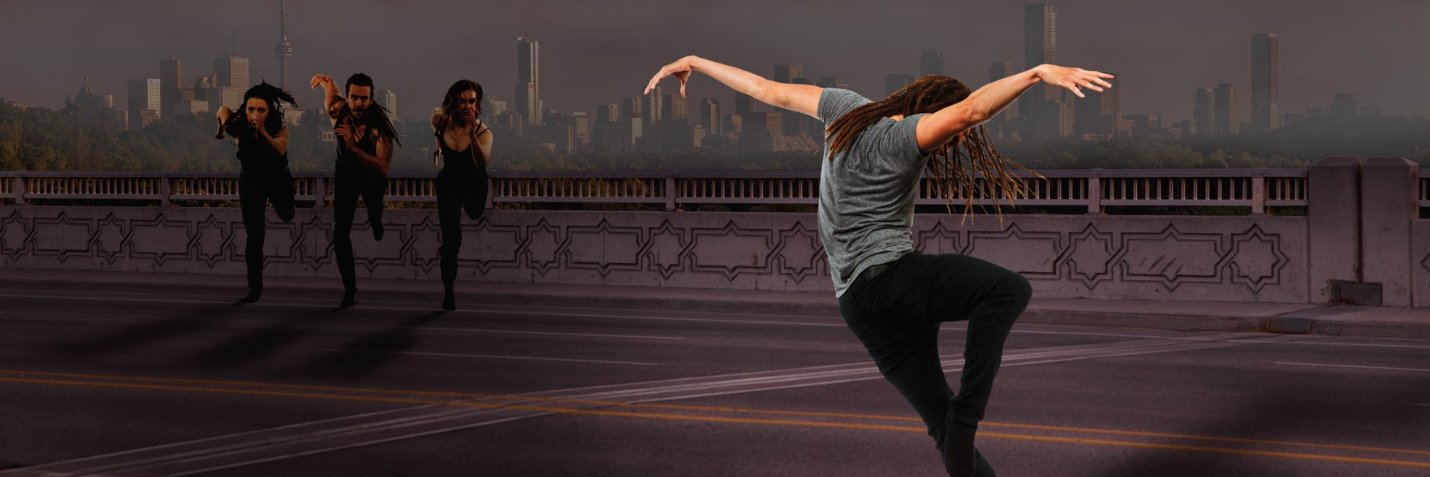 proartedanza's profile banner image