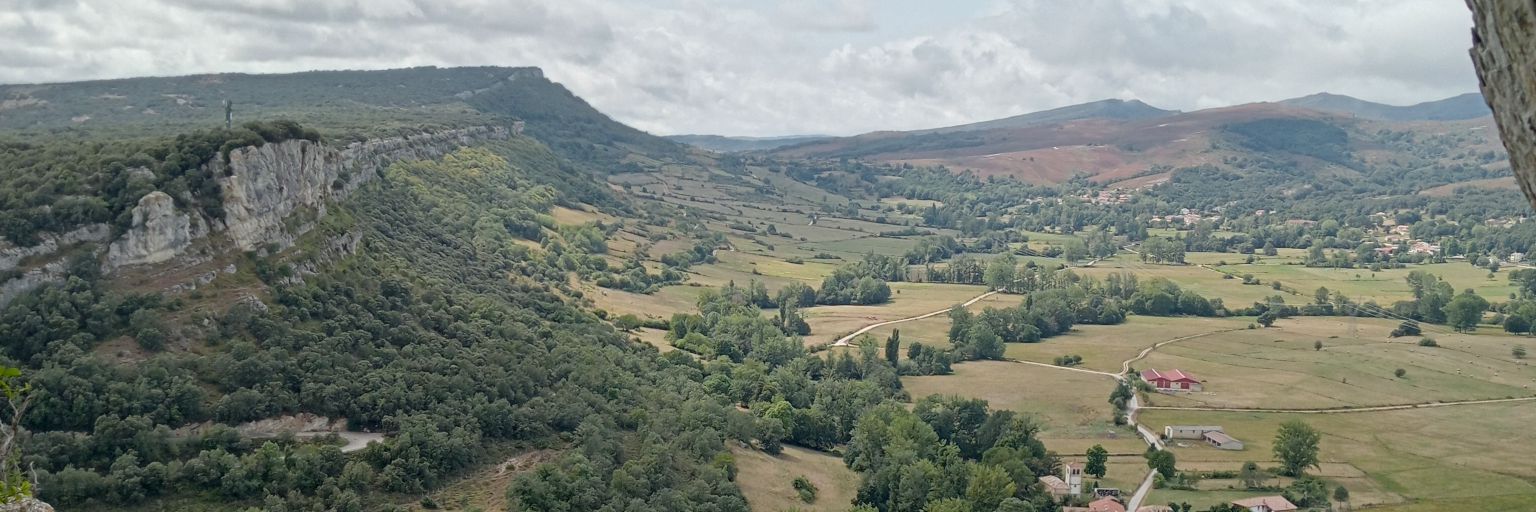 Marco Vidal Cordasco banner