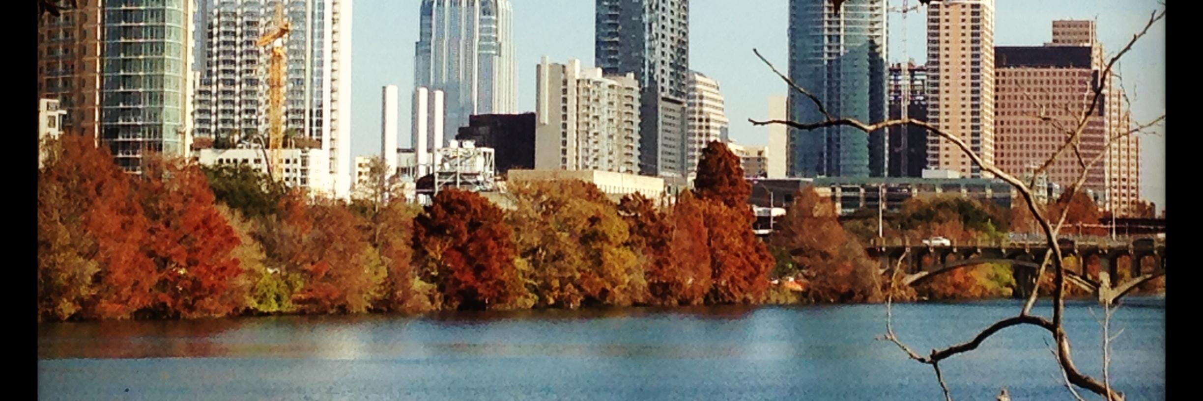 Nicolas Emilfork banner