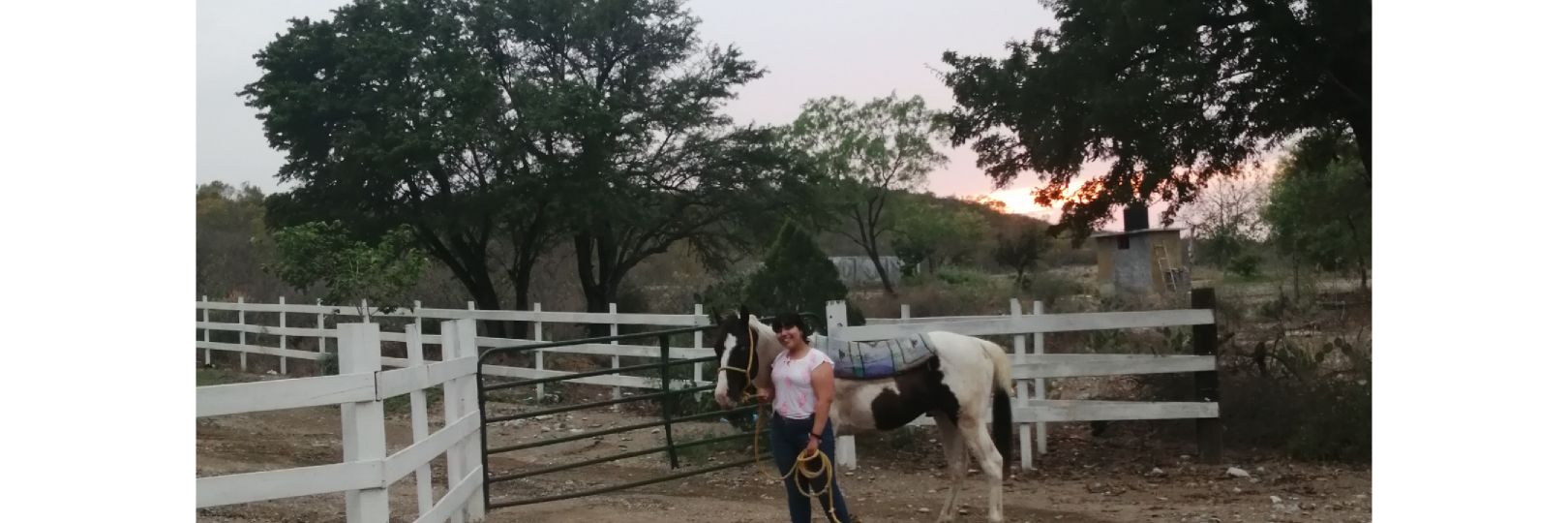 _FernaSanchez's profile banner image