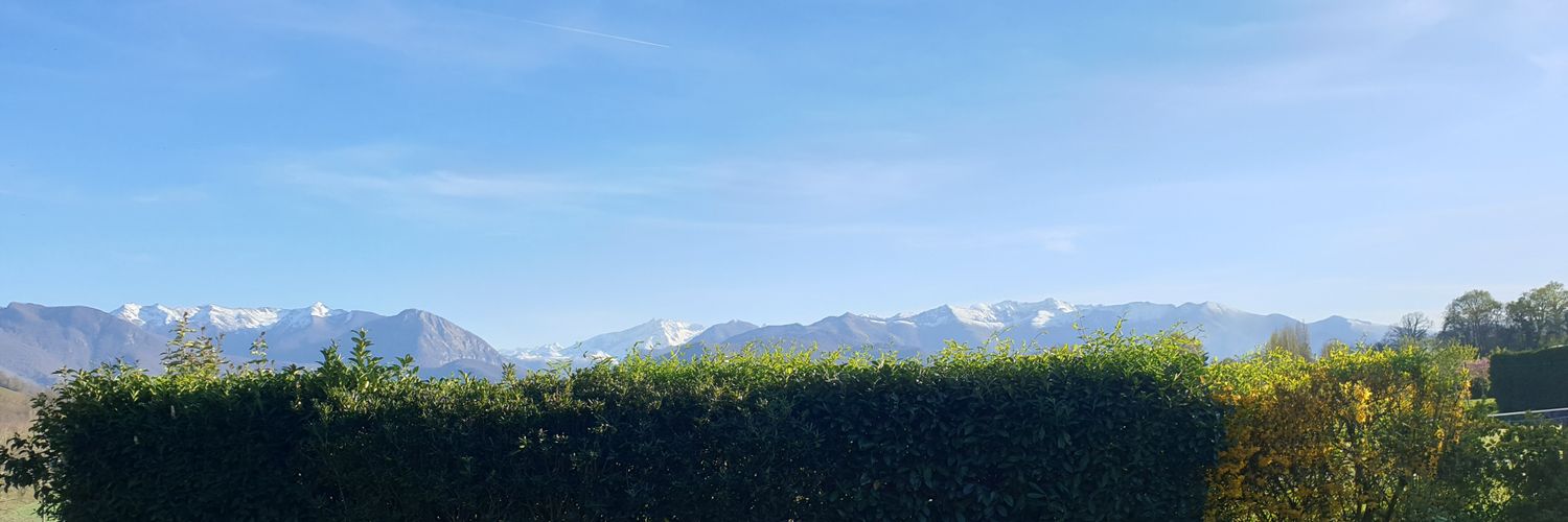 kinowski4's profile banner image