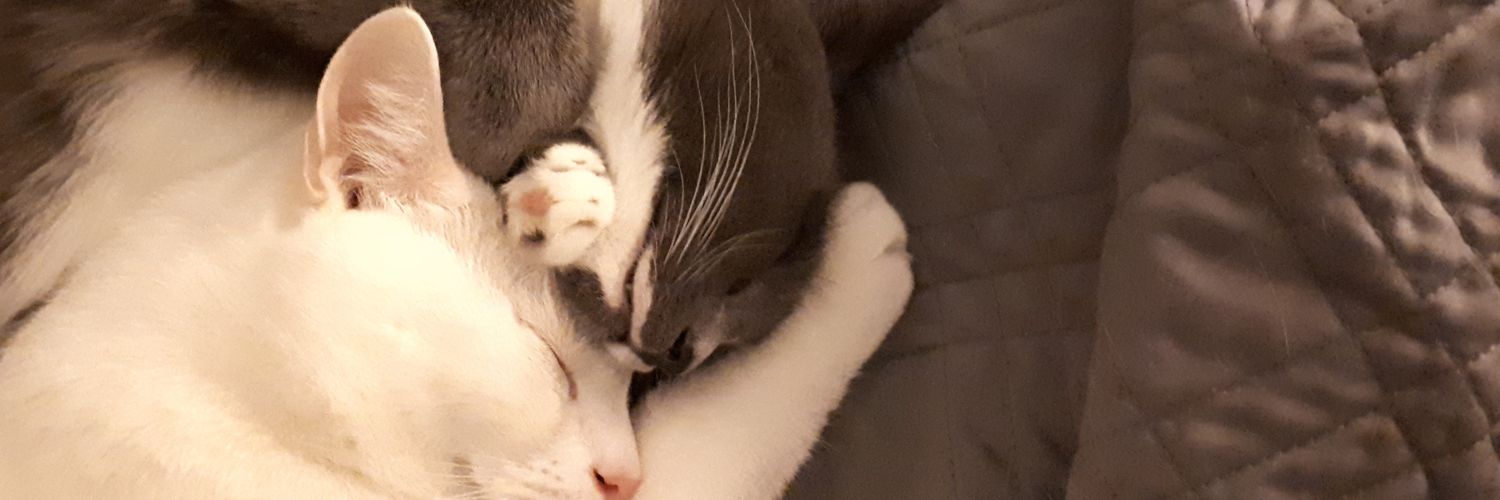 SuperTrishy's profile banner image