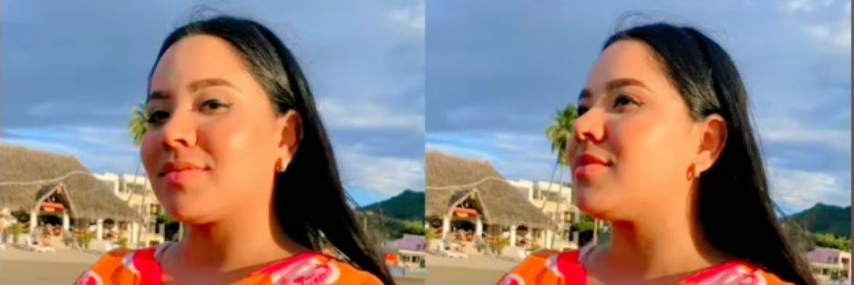 melibiscarlet's profile banner image