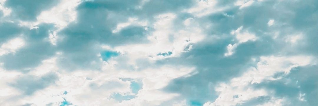 Fernx__'s profile banner image