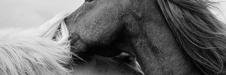 ayssdmr's profile banner image