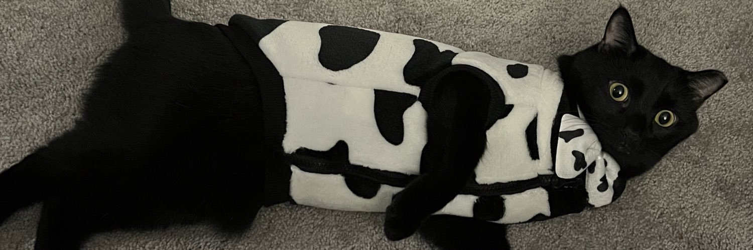 heathur98's profile banner image