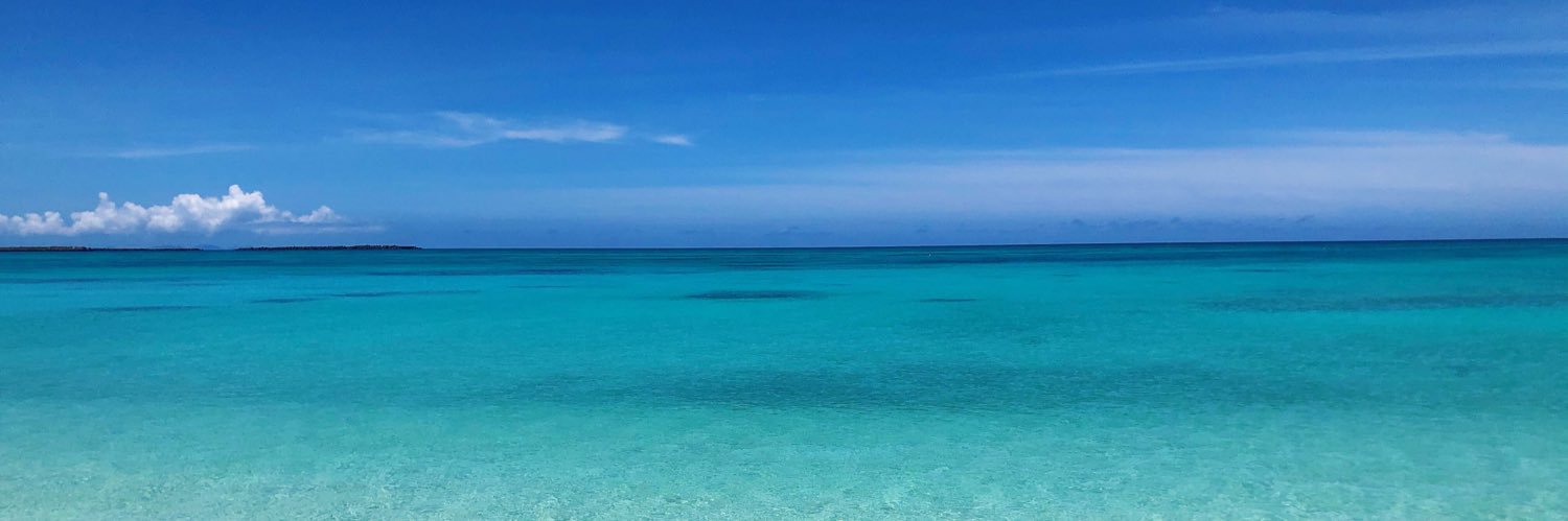 deepdiveroki's profile banner image