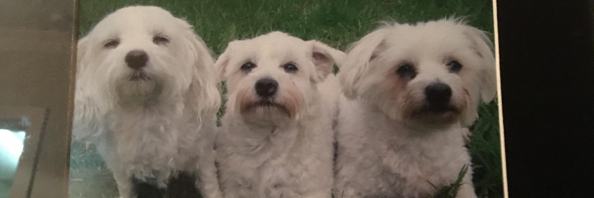 coza07's profile banner image