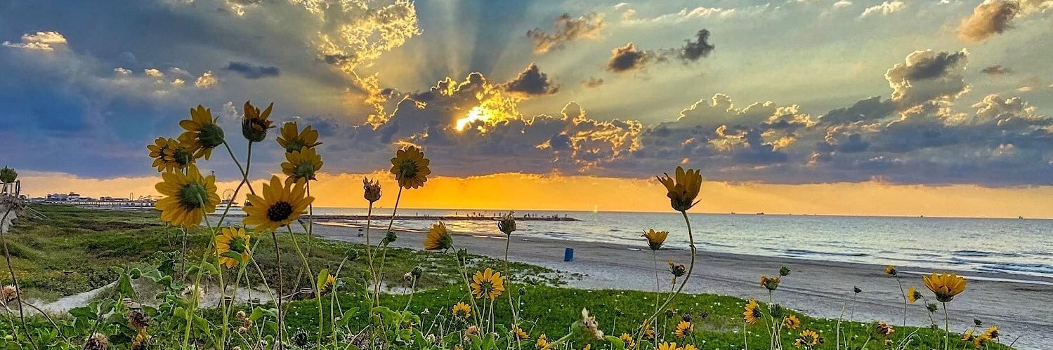 Vivers  💗🍷 banner