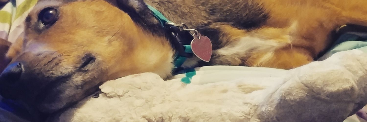 AngelElric's profile banner image