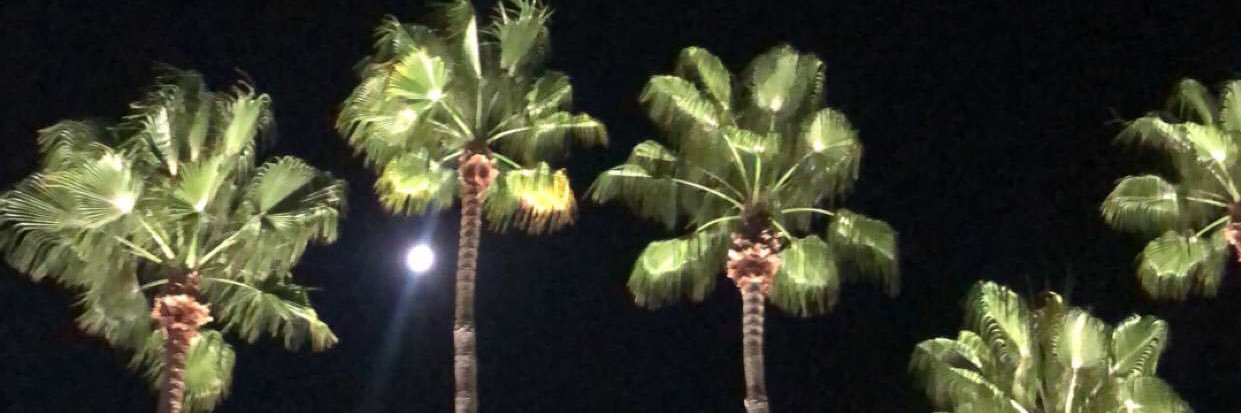 ceeek__'s profile banner image