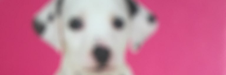 mad_head_fee's profile banner image