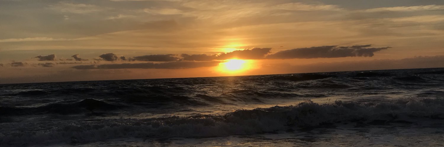 EmilyButters21's profile banner image
