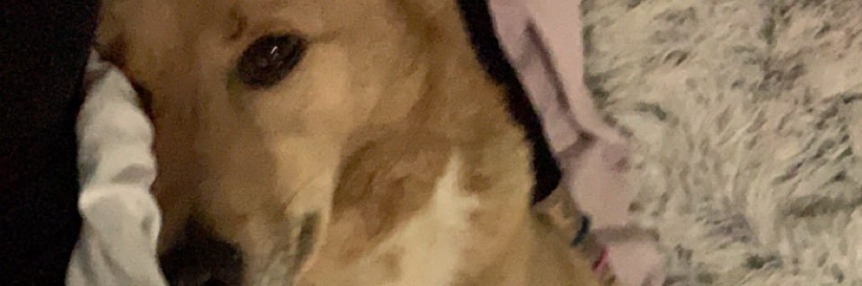 Bella_Marie17's profile banner image