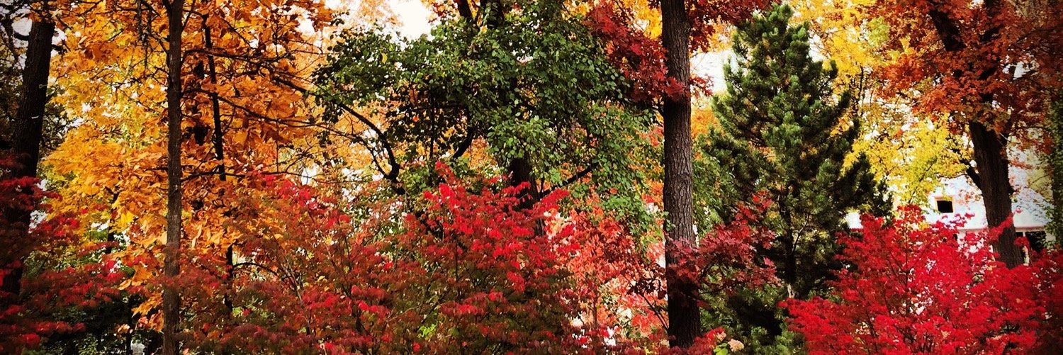 AlexAlverdy's profile banner image