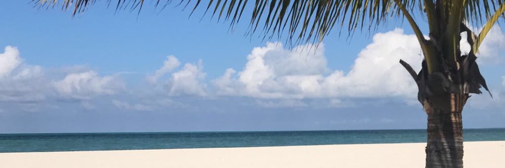NoelMiller2's profile banner image