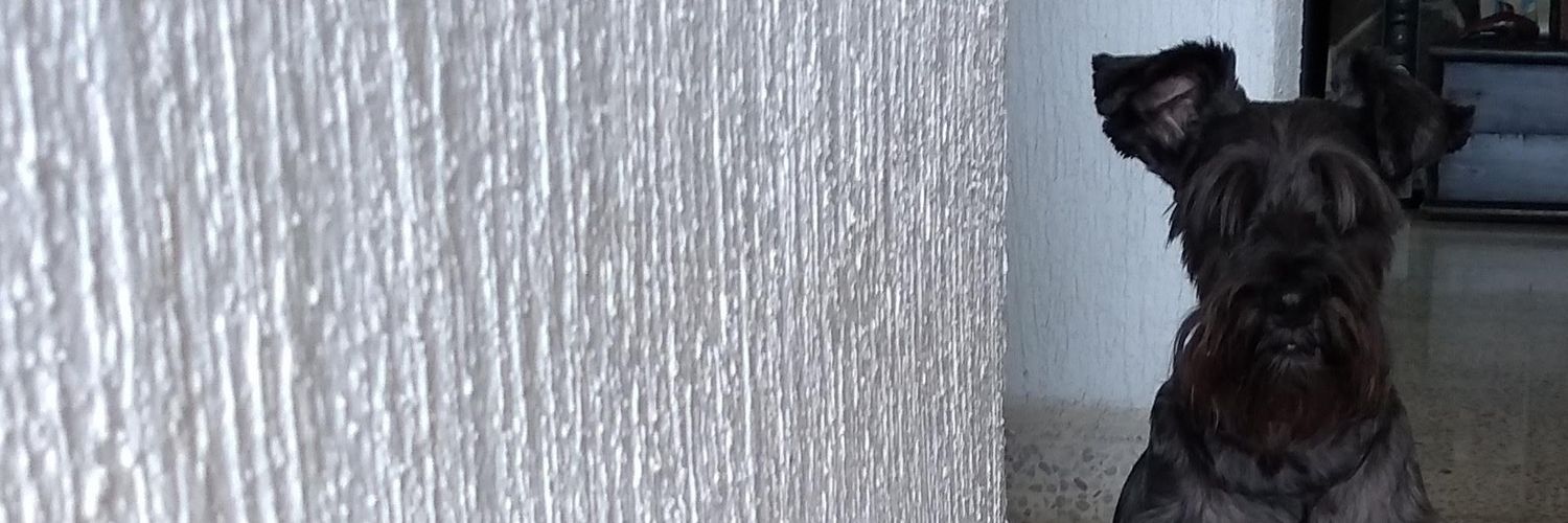 alexaHEh's profile banner image