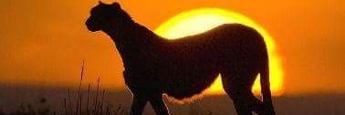 andersonguzman1's profile banner image