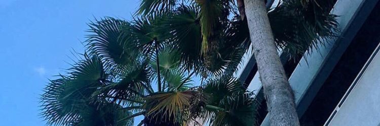 Copeland Quinn banner