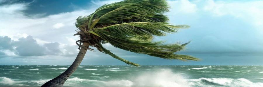 LilaDodi's profile banner image