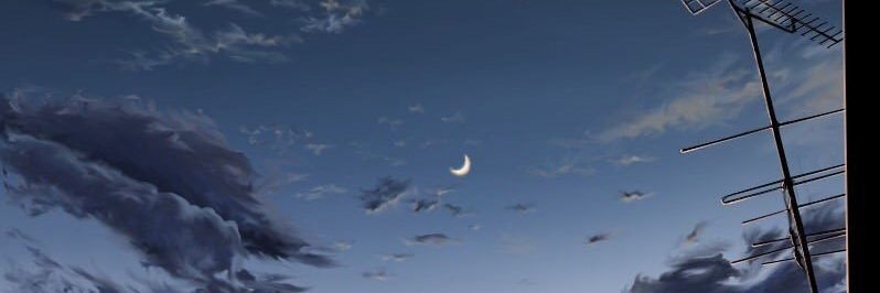 luluziferc's profile banner image
