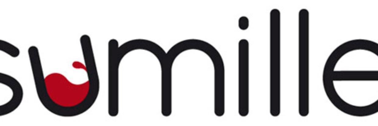 elsumillercom's profile banner image