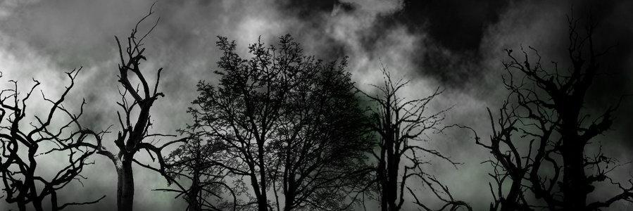rugarsu's profile banner image