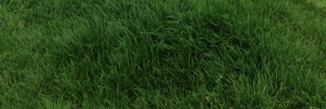 Briesias's profile banner image