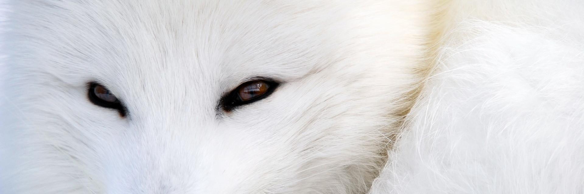 shaneyounglol's profile banner image
