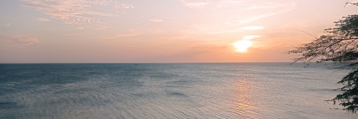 Scarly l XYZ ❤️ banner