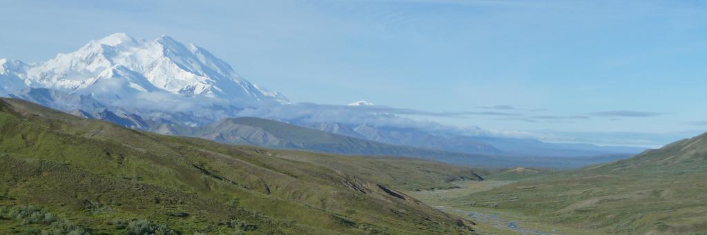 Matt Zimmerman banner