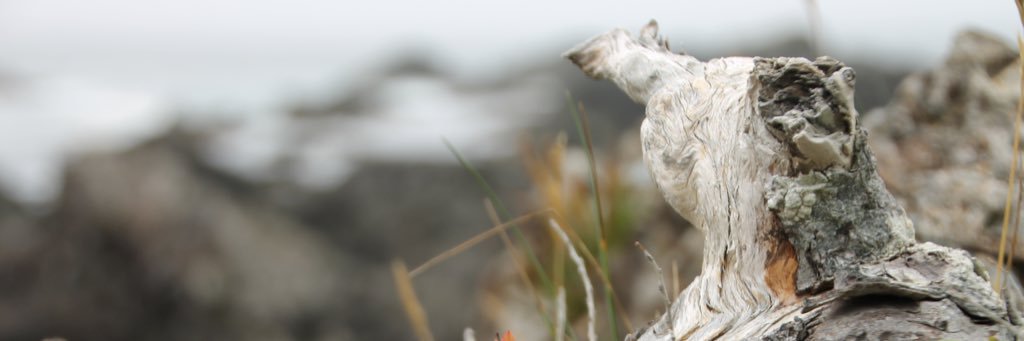 kirntom's profile banner image