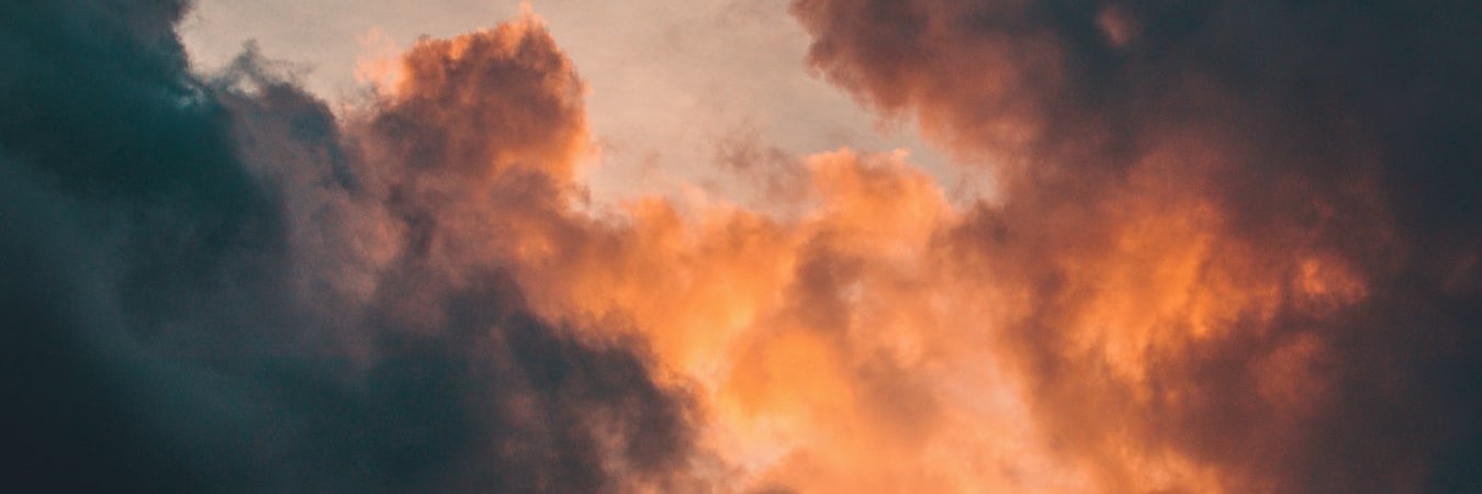 MissShenoy's profile banner image