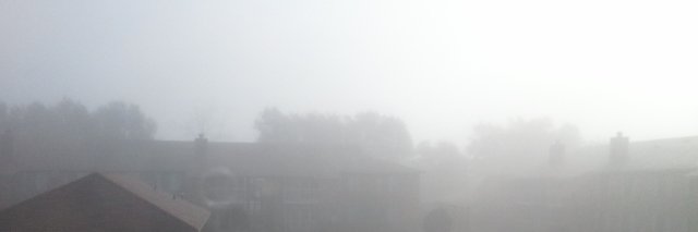 freakybislut's profile banner image