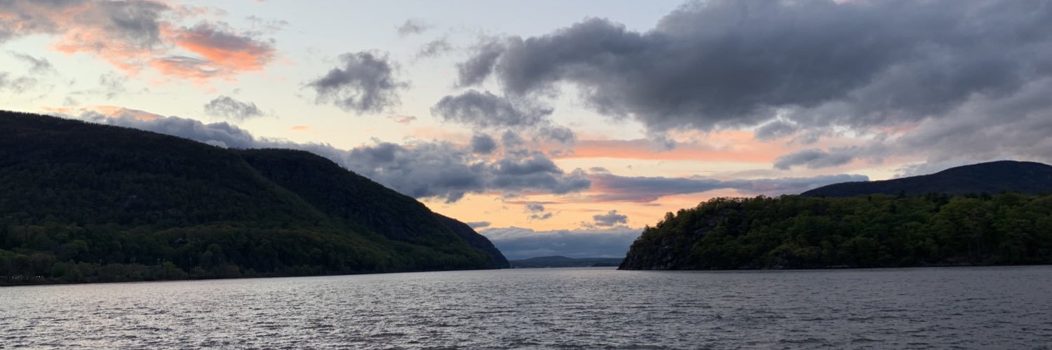 molliefeldman's profile banner image