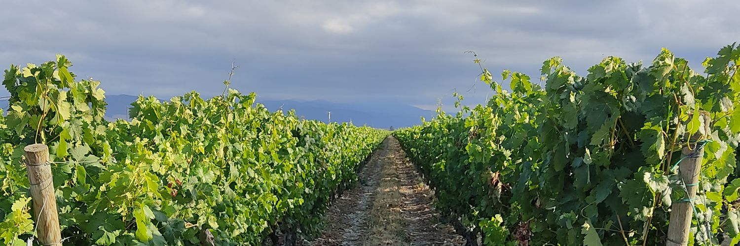 Hèctor Cuenca banner