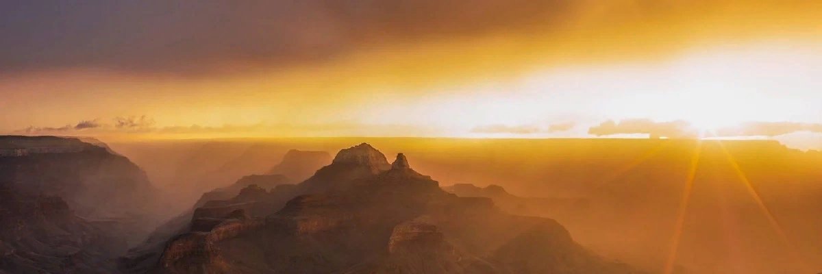 darkakoko1's profile banner image