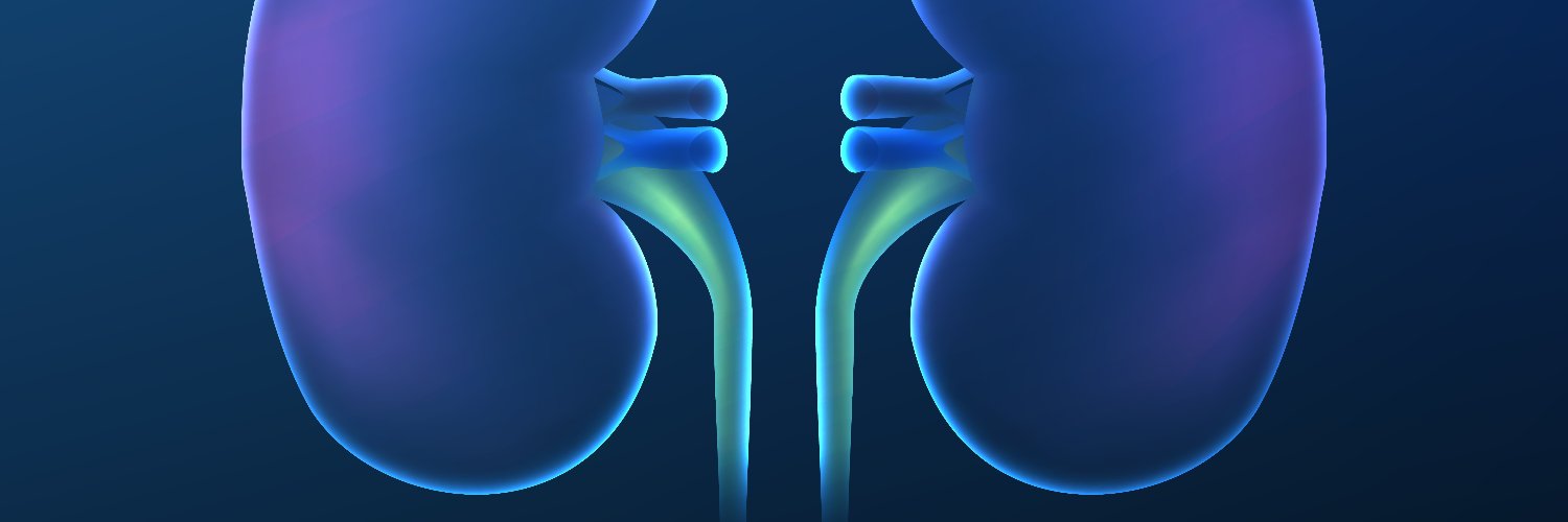 NPOJ - Openventio Publishers banner