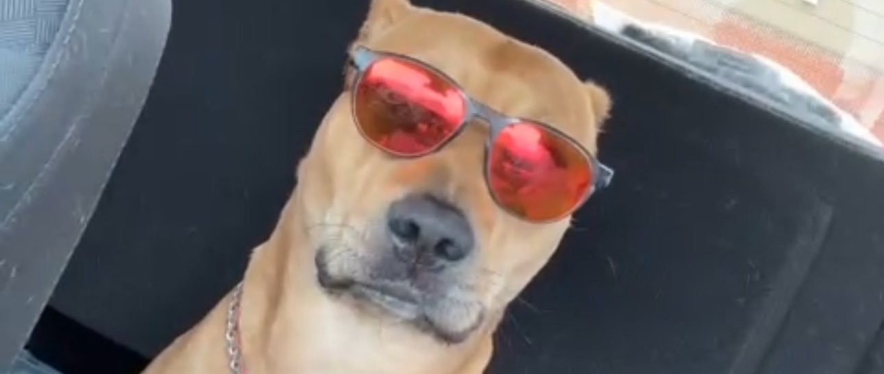 BeefChalupa_'s profile banner image